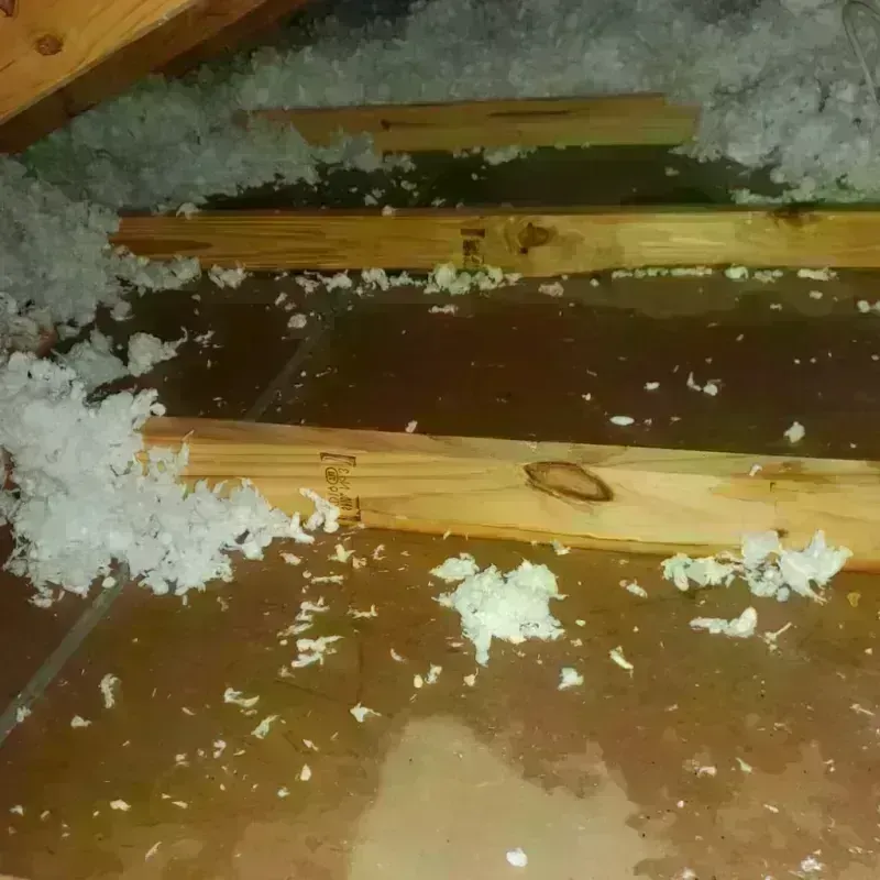 Attic Water Damage in Kerman, CA